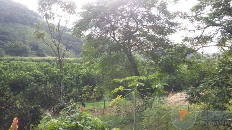 Fazenda no Boqueirão Fazenda no Boqueirão