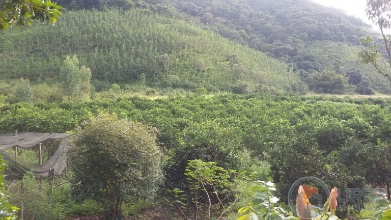 Fazenda no Boqueirão