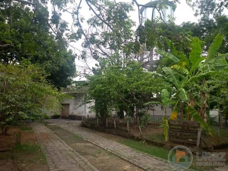 Área Comercial na 25 de Agosto Área Comercial na 25 de Agosto